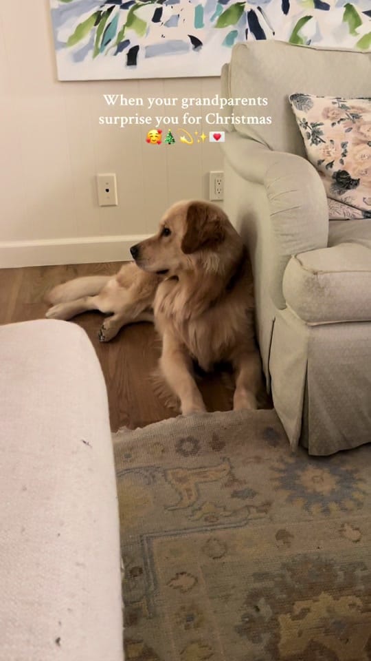 Post 9 by Chandler Smith on TikTok (video)