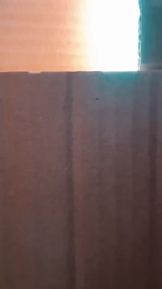 Post 5 by MysticJourneyLA on TikTok (video)