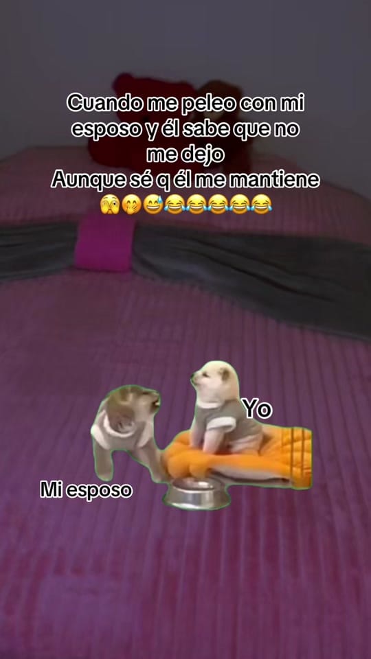 Post 4 by La Gordita 🥰🩷 on TikTok (video)