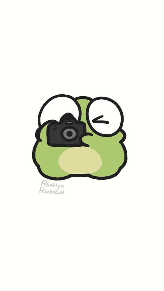 Post 2 by pusameopalakaech on TikTok (video)