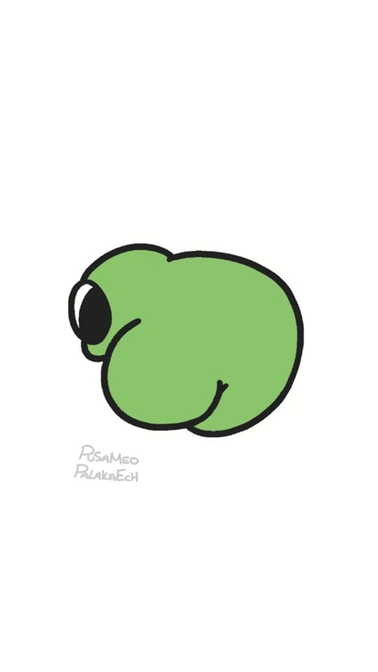 Post 6 by pusameopalakaech on TikTok (video)