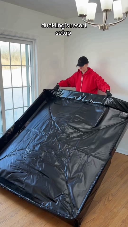 Post 2 by The_hayeks on TikTok (video)