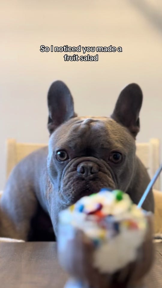 Post 4 by Tito on TikTok (video)