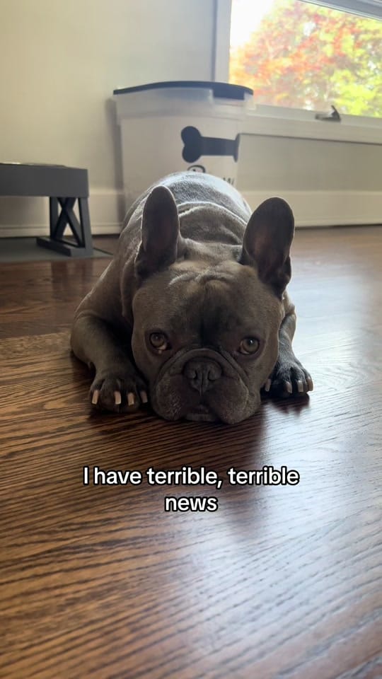 Post 6 by Tito on TikTok (video)