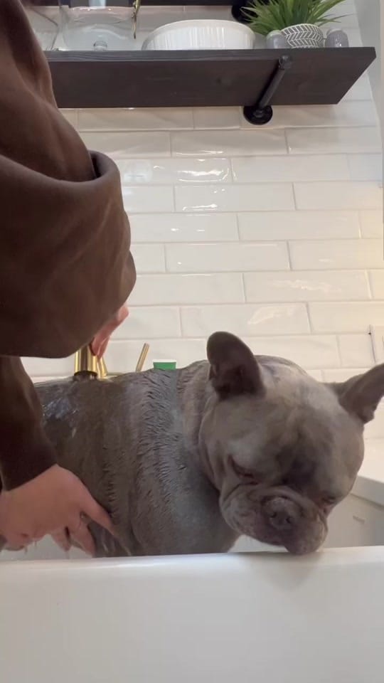 Post 9 by Tito on TikTok (video)