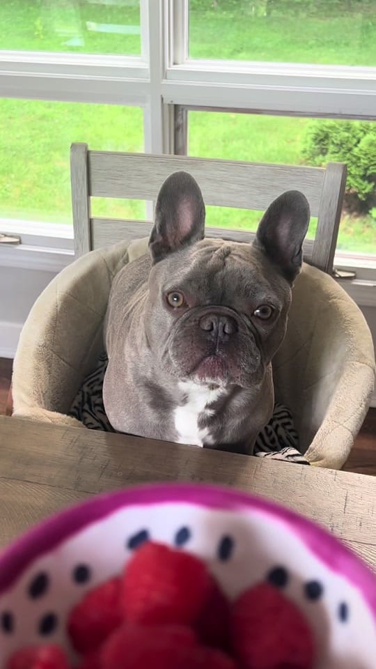 Post 5 by Tito on TikTok (video)