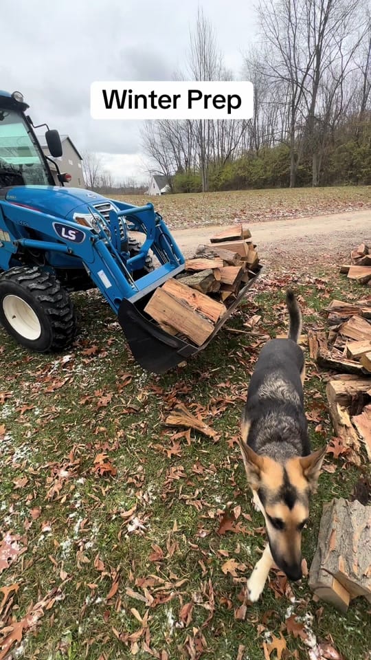 Post 6 by Bear Naked Wood on TikTok (video)