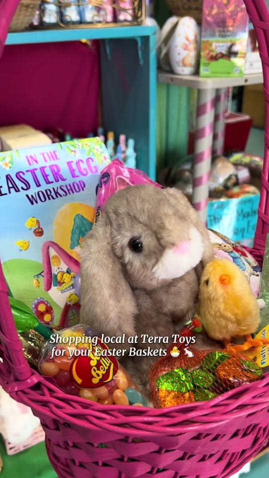 Post 1 by Terra Toys on TikTok (video)