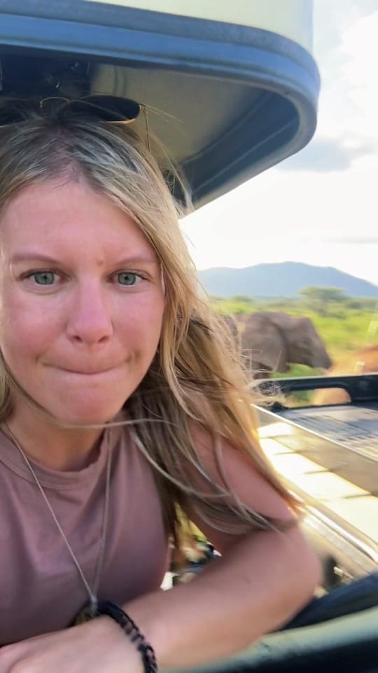 Post 4 by Shalee | Cats & Travel on TikTok (video)