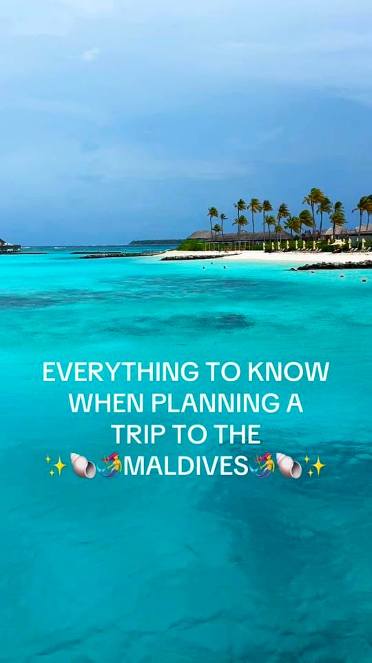 Post 2 by Shalee | Cats & Travel on TikTok (video)
