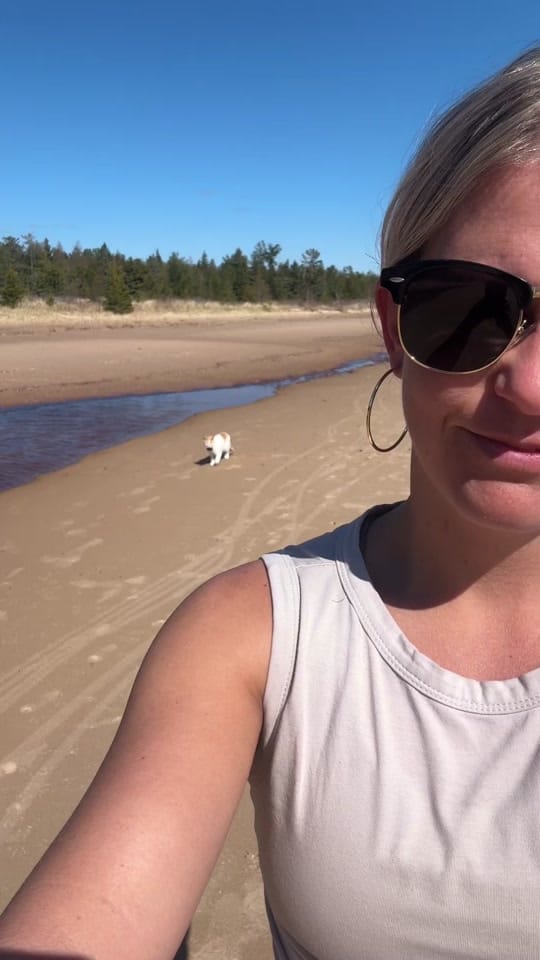 Post 3 by Shalee | Cats & Travel on TikTok (video)