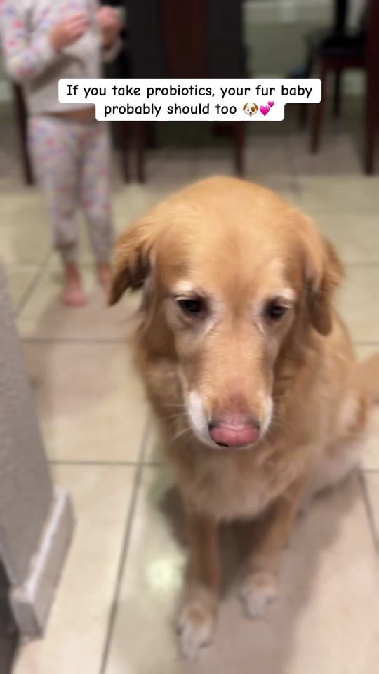 Post 2 by Scarlet 🫶🏼 on TikTok (video)