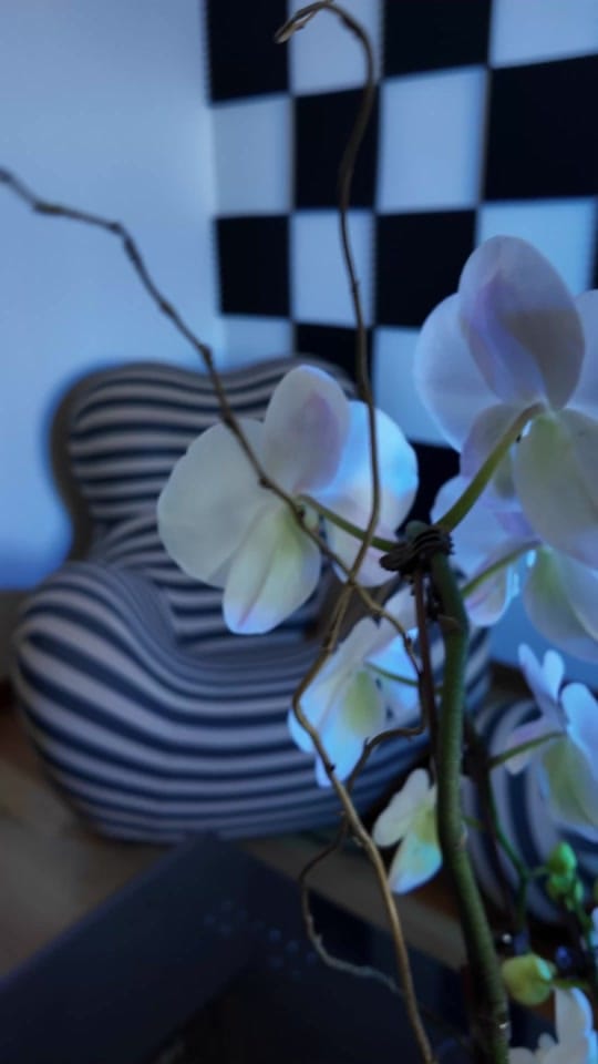 Post 2 by wizmodernhome on TikTok (video)