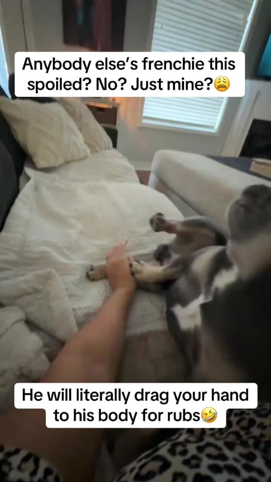 Post 7 by courtniwoodytaylor on TikTok (video)