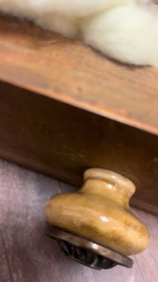 Post 5 by Roxanne Moreno Photography on TikTok (video)