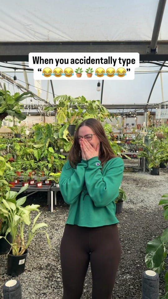Post 4 by Plants Alive! on TikTok (video)