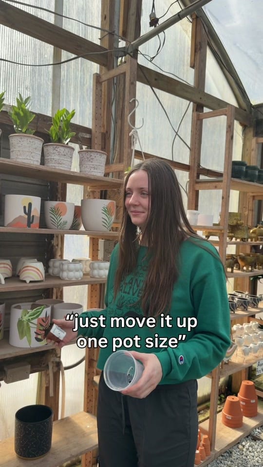 Post 3 by Plants Alive! on TikTok (video)