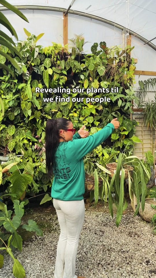 Post 6 by Plants Alive! on TikTok (video)