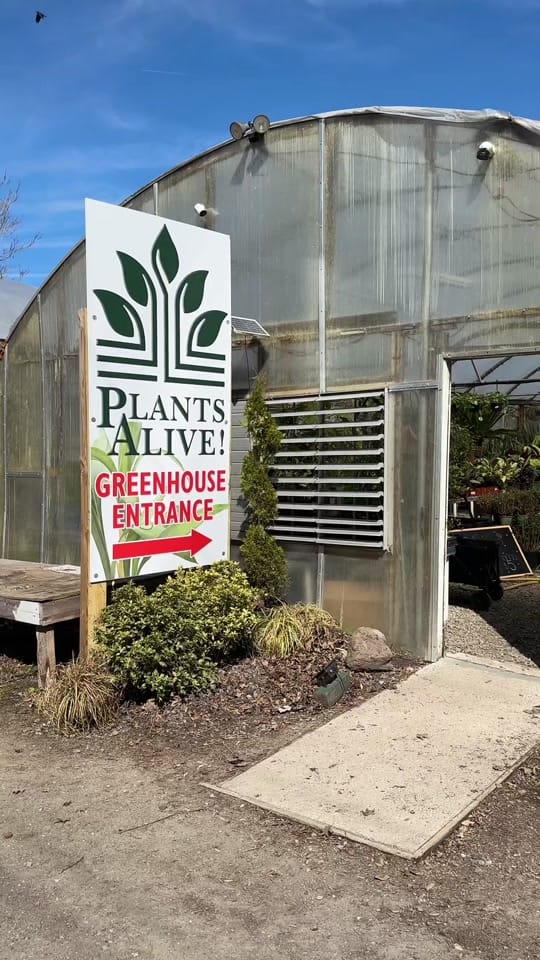 Post 9 by Plants Alive! on TikTok (video)