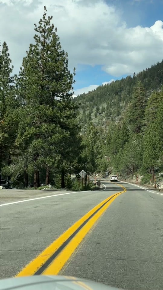 Post 5 by Alicia ✈️🏝️🌺 on TikTok (video)