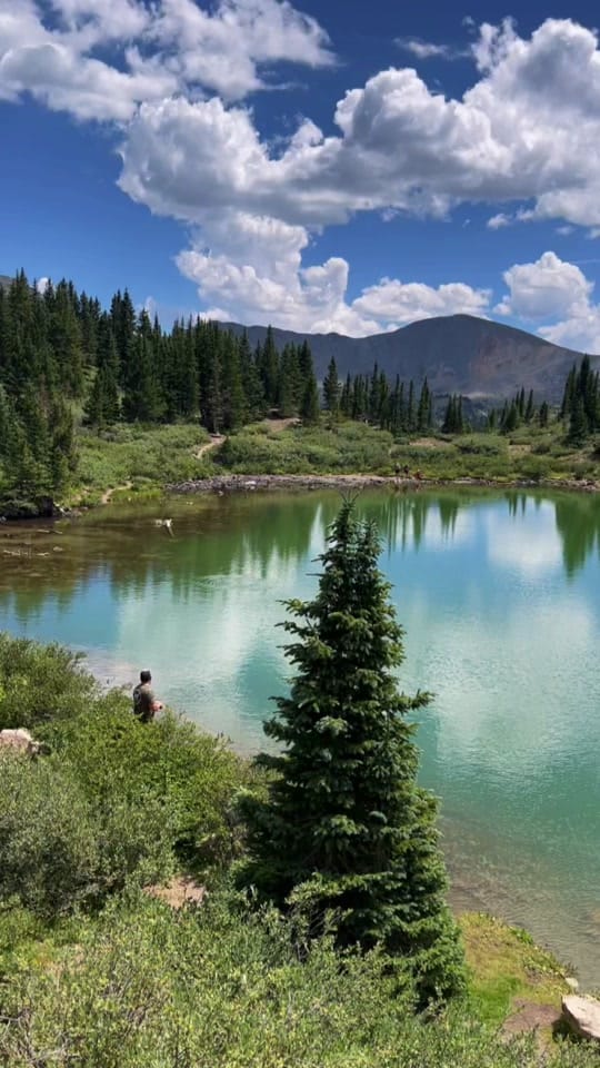 Post 7 by Colorado Madison on TikTok (video)