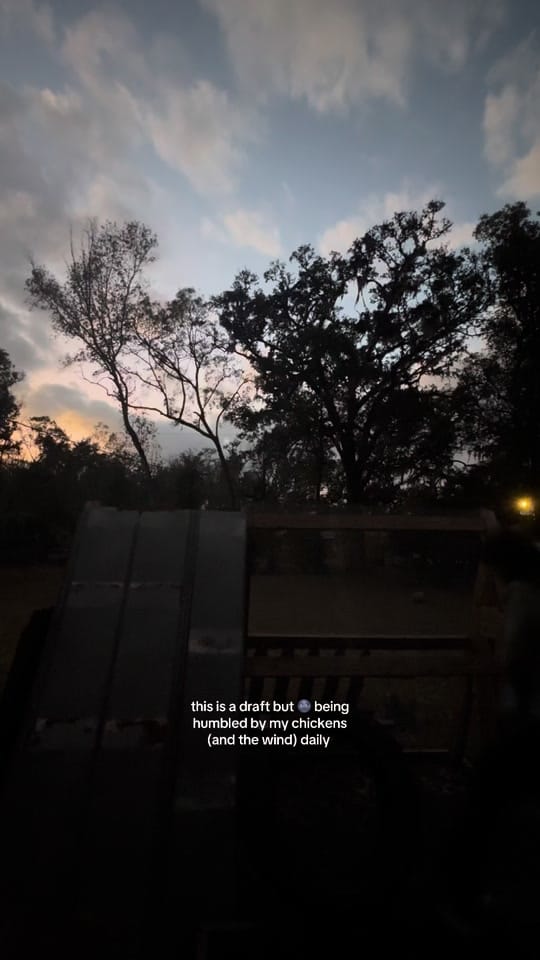 Post 6 by Melissa 💛 on TikTok (video)