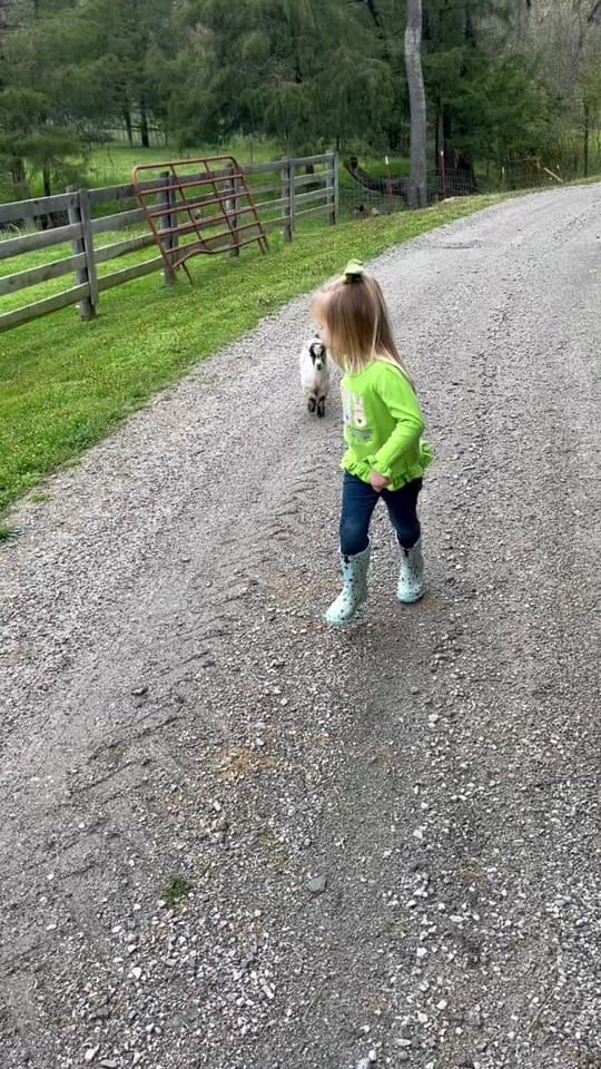 Post 10 by Haley Kerney on TikTok (video)