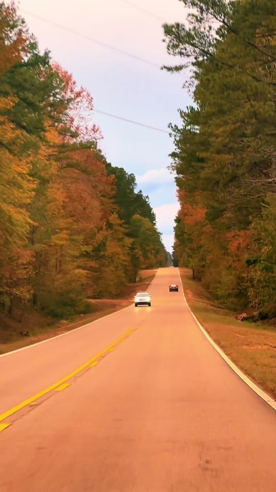 Post 5 by ✨DAWN💞WILL✨ on TikTok (video)