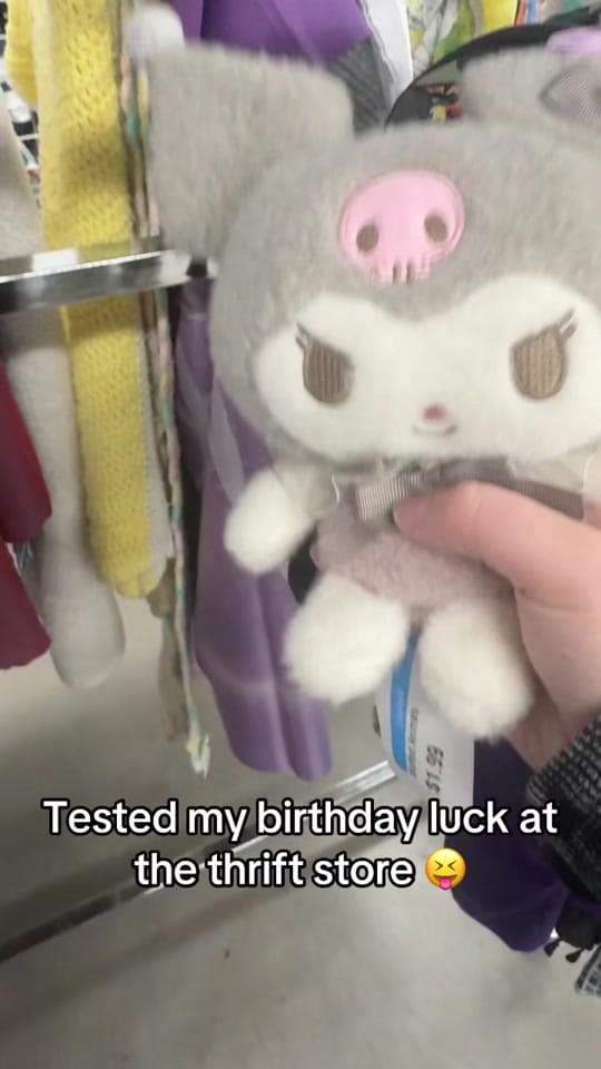 Post 5 by Thrift_Addicttt on TikTok (video)