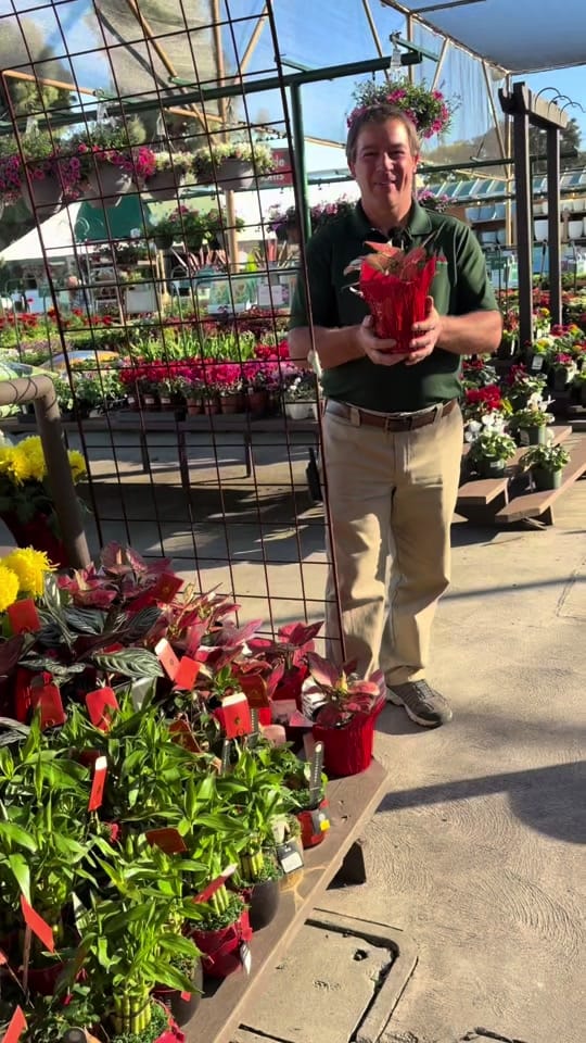 Post 9 by Armstrong Garden Centers on TikTok (video)
