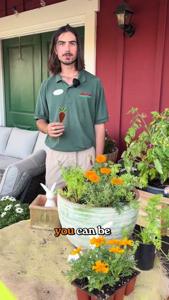 Post 6 by Armstrong Garden Centers on TikTok (video)