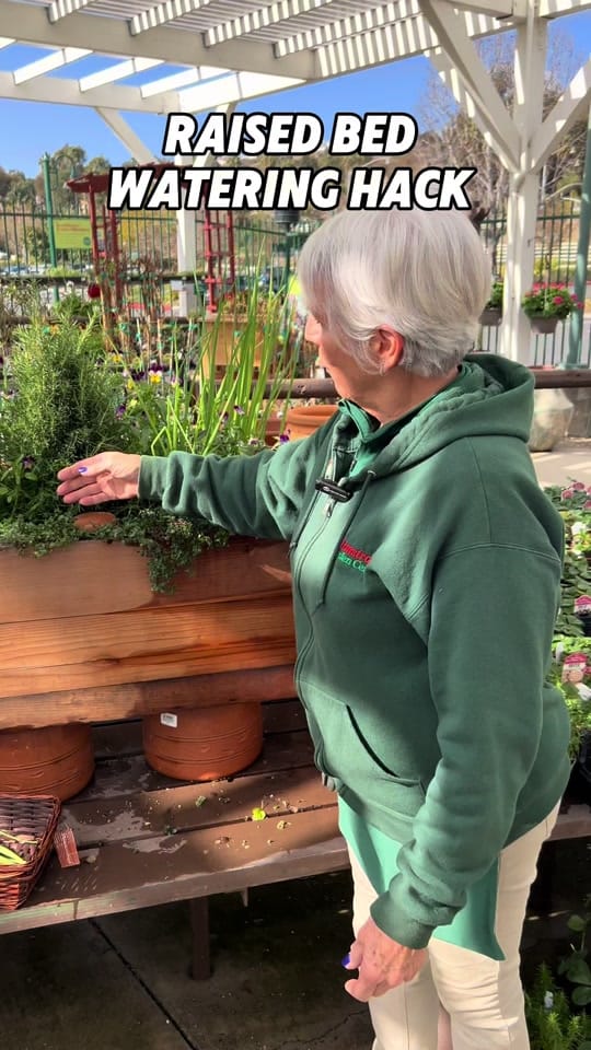Post 7 by Armstrong Garden Centers on TikTok (video)