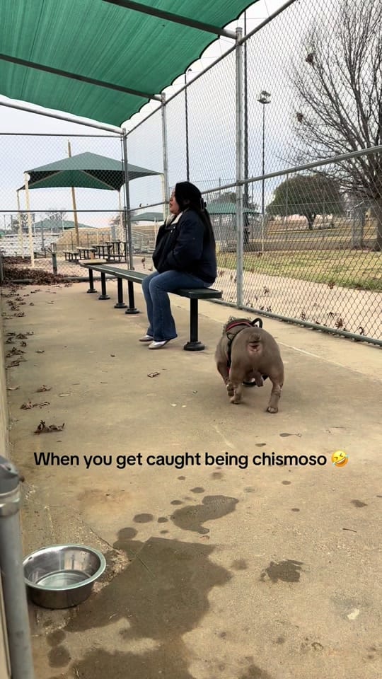Post 5 by ShopwithM&C🛒🛍👫😁👋 on TikTok (video)