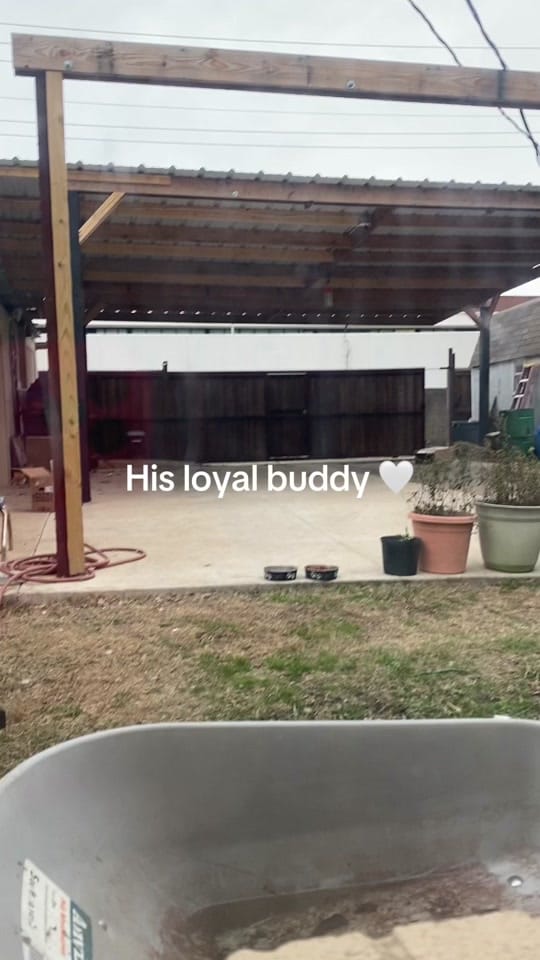 Post 9 by ShopwithM&C🛒🛍👫😁👋 on TikTok (video)