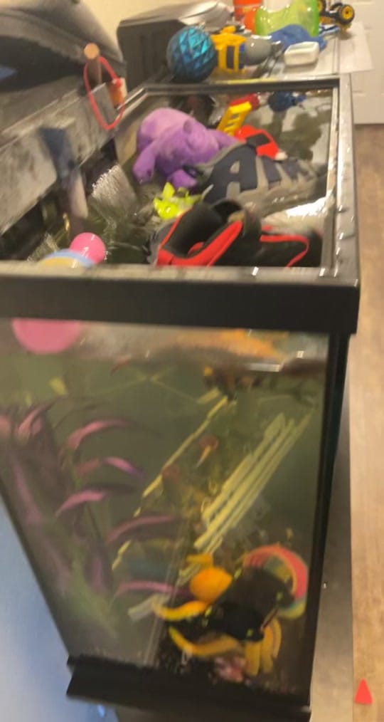 Post 10 by Denise Houston on TikTok (video)