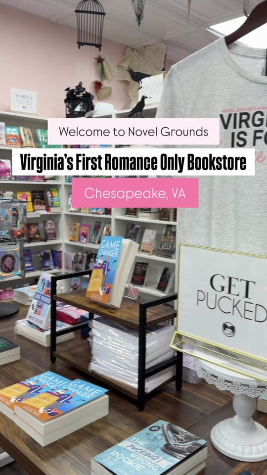 Post 1 by Novel Grounds on TikTok (video)
