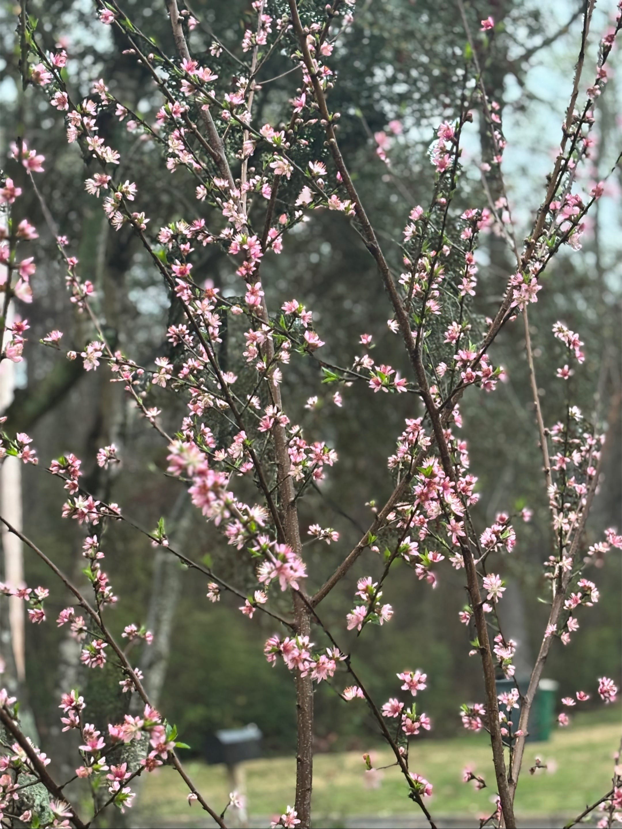 Post 2 by Down Right Southern on TikTok (video)