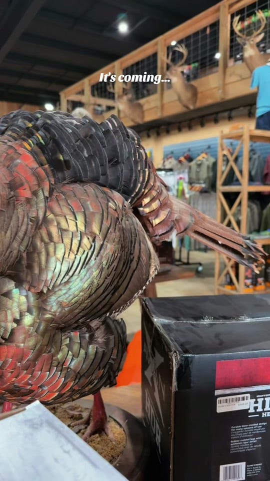 Post 10 by SIP Outdoors on TikTok (video)