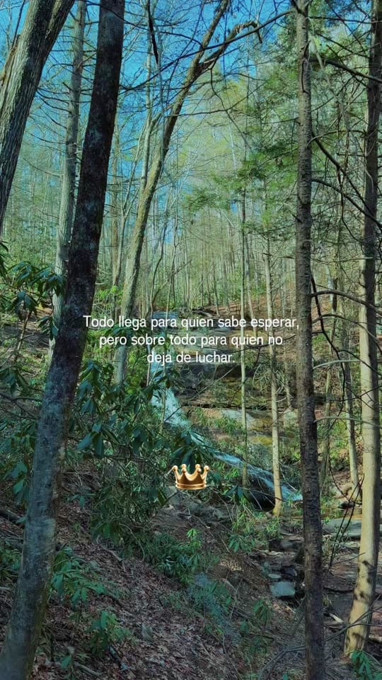Post 7 by Mary.creations1 on TikTok (video)