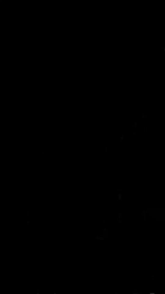 Post 5 by The Cre8ive Chick 🐕🐎 on TikTok (video)