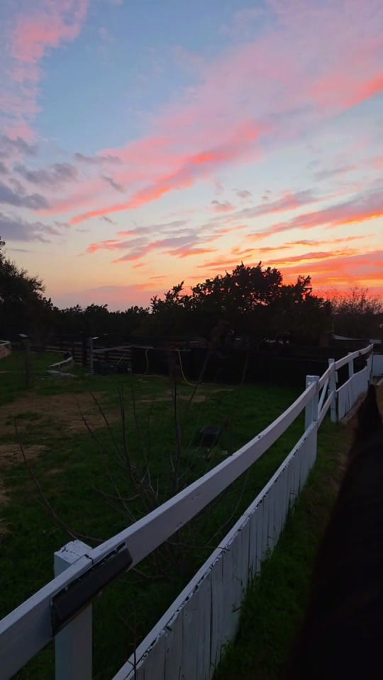 Post 2 by The Cre8ive Chick 🐕🐎 on TikTok (video)