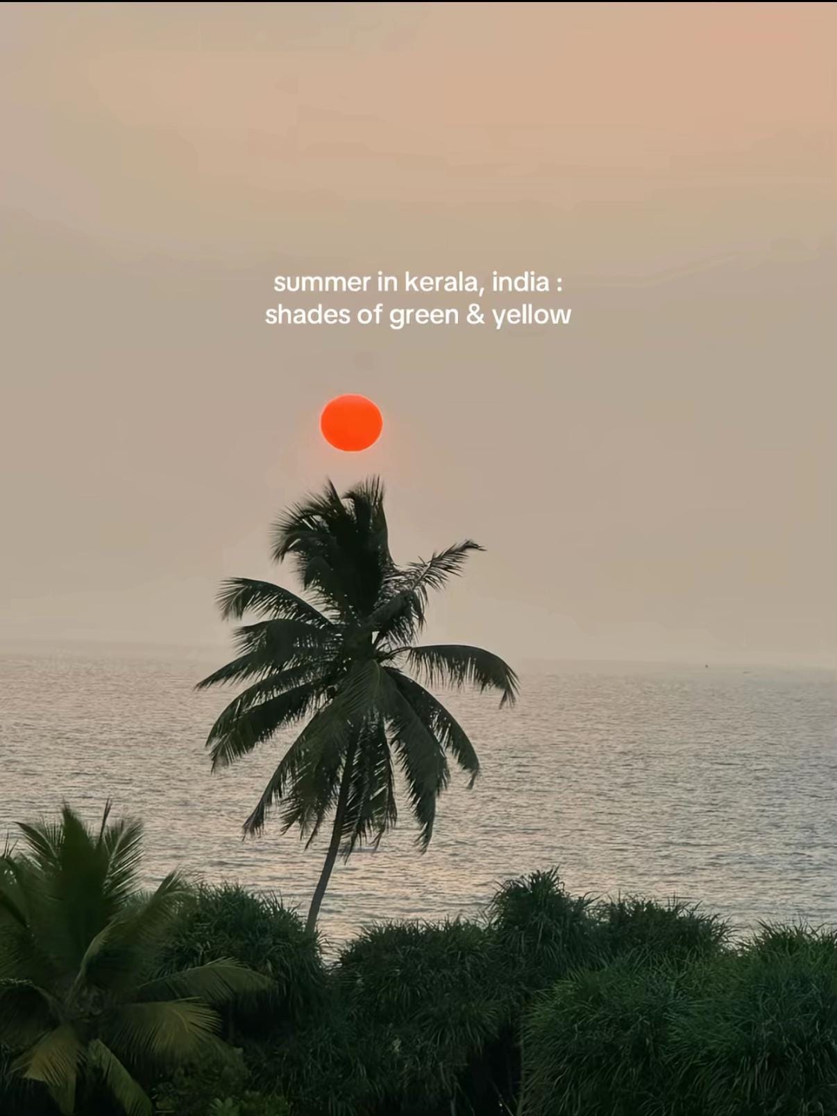 Post 1 by maharus | ugc on TikTok (video)