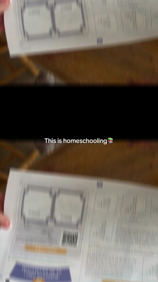 Post 6 by Chels | Homeschool SAHM 💙💙💙 on TikTok (video)