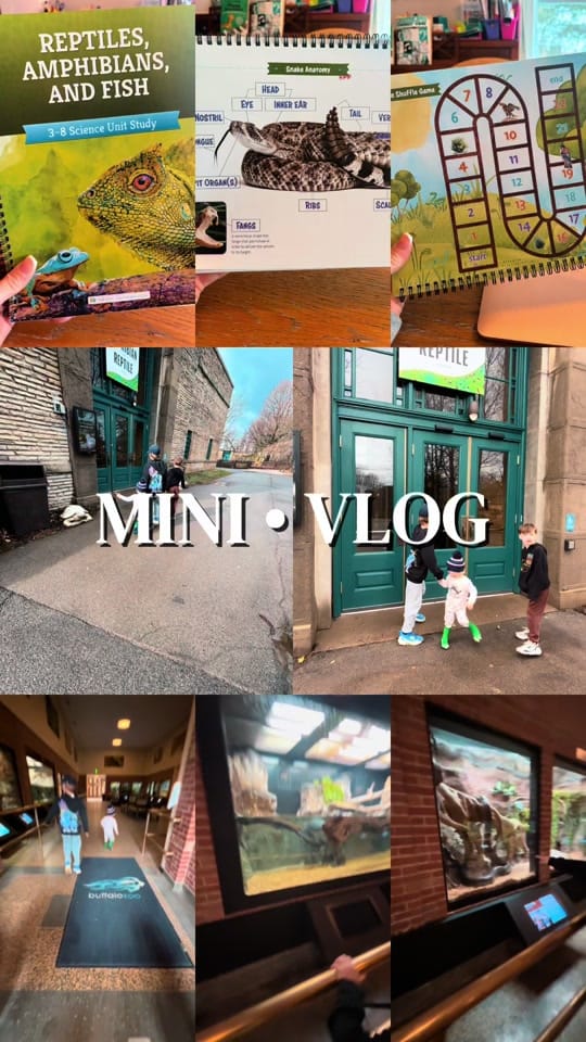 Post 5 by Chels | Homeschool SAHM 💙💙💙 on TikTok (video)