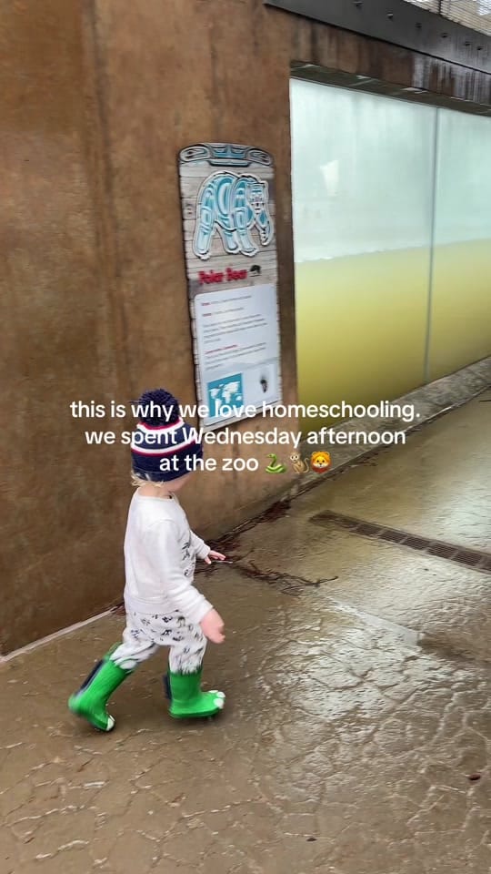 Post 8 by Chels | Homeschool SAHM 💙💙💙 on TikTok (video)