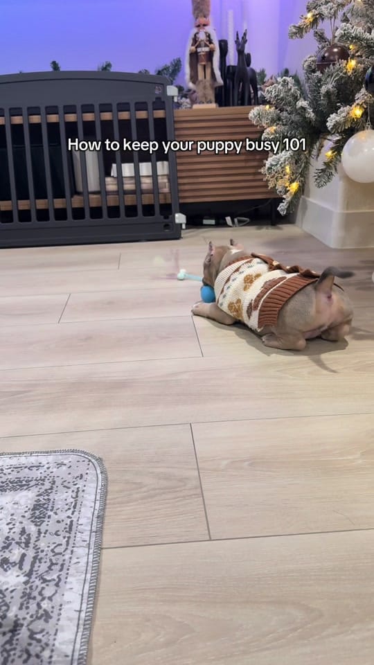 Post 8 by beth obena | tts finds🩵 on TikTok (video)