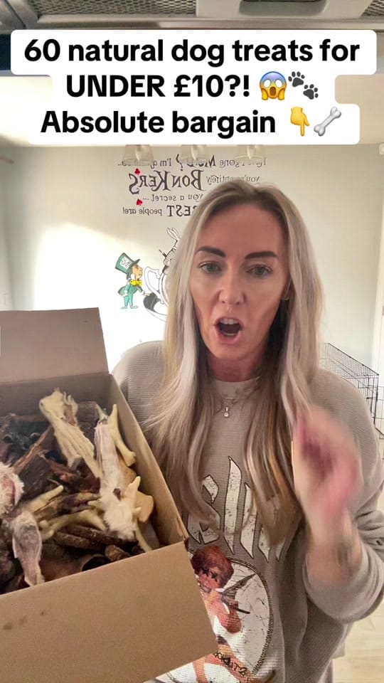 Post 8 by Roman_Malinois on TikTok (video)