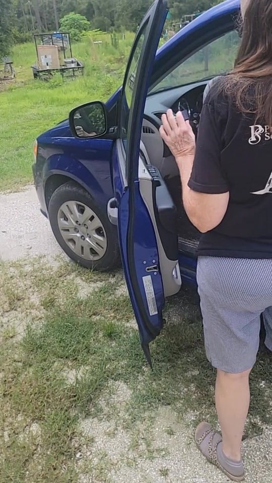 Post 10 by Raven's adventures with Gramma on TikTok (video)