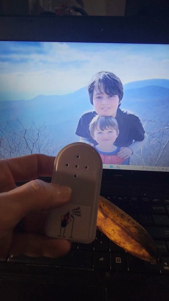 Post 7 by Raven's adventures with Gramma on TikTok (video)