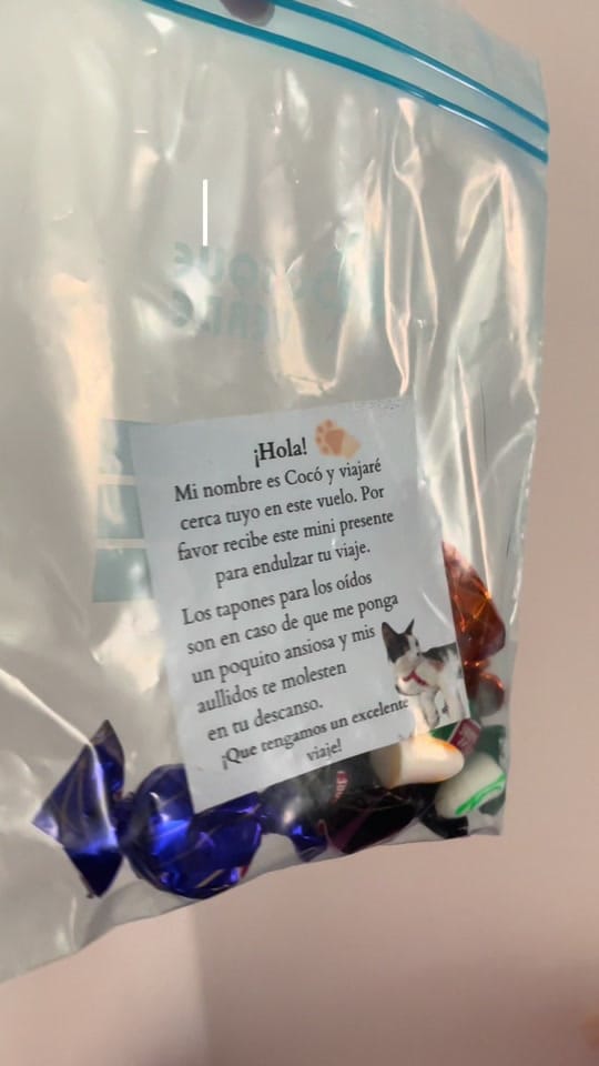Post 8 by Kate | Educación & Lifestyle on TikTok (video)